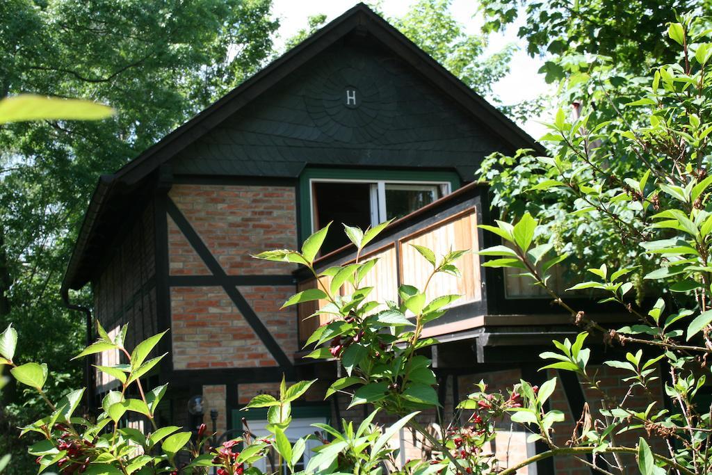 Villa Harz-Chill Wernigerode Extérieur photo